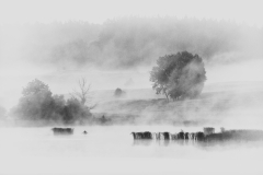 Pejzaż - Czarno-biała Warmia
