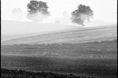 Pejzaż - Warmia, czarno-biały kwadrat