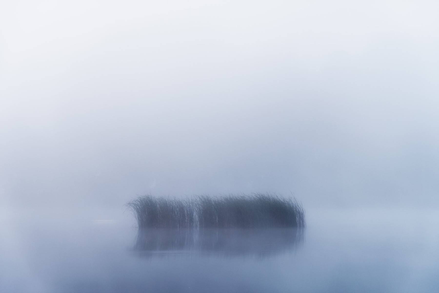 ___